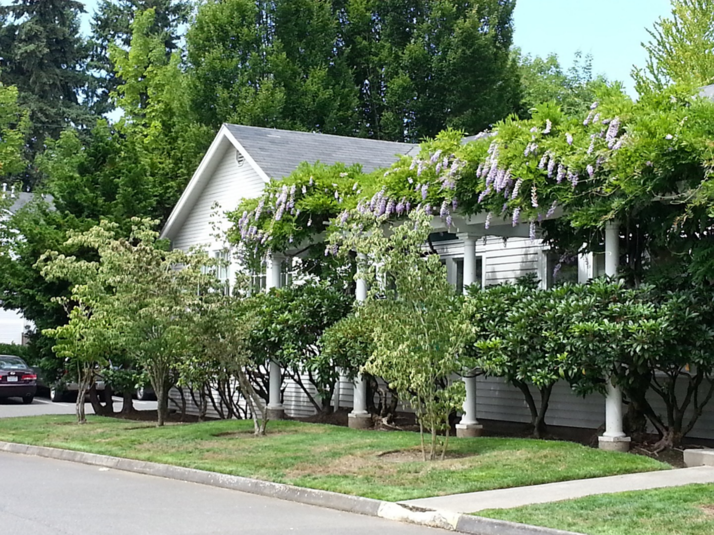 Suburban home surrounded by trees and shrubs
